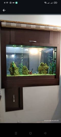 wall fitted aquarium