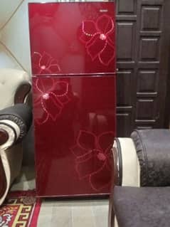 ORIENT GLASS DOOR REFRIGERATOR