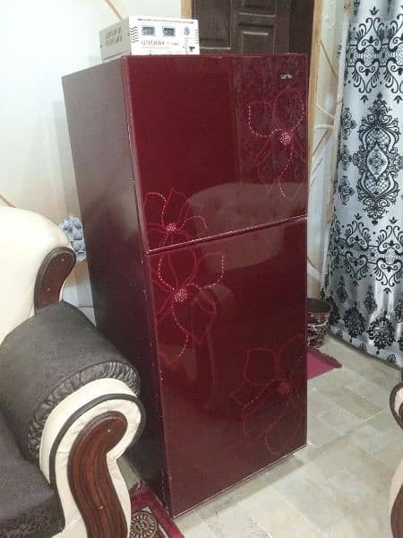 ORIENT GLASS DOOR REFRIGERATOR 2