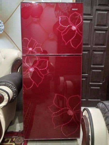 ORIENT GLASS DOOR REFRIGERATOR 3