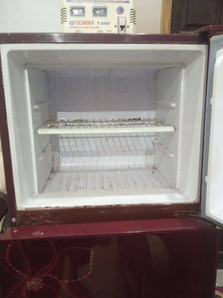 ORIENT GLASS DOOR REFRIGERATOR 5