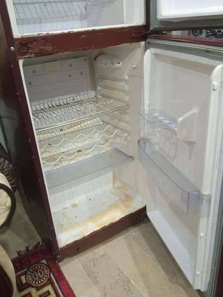 ORIENT GLASS DOOR REFRIGERATOR 6