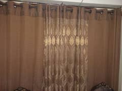 Room Curtain Chocolate Brown Colour