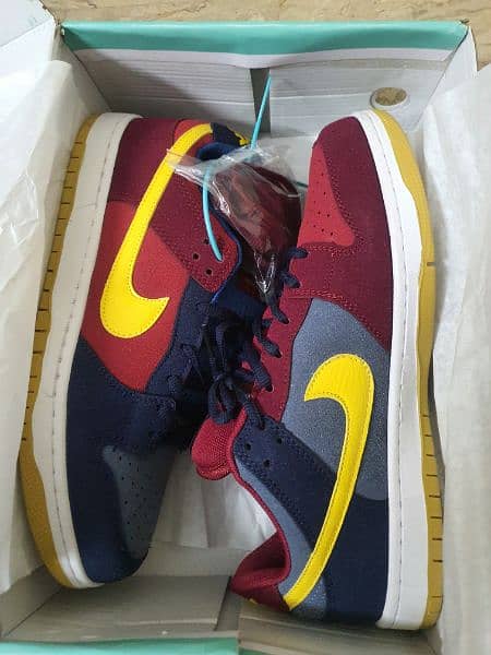 nike shoes sb low dunk pro Barcelona edition 1