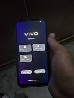 Vivo