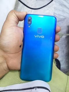 Vivo