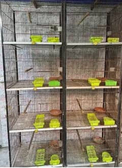 Birds cage for sale in branch new condtion. Price 10,000.