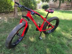 Smooth Ride Bycycle for sale. 0