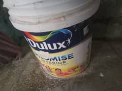 Original Dulux Ash White Paint