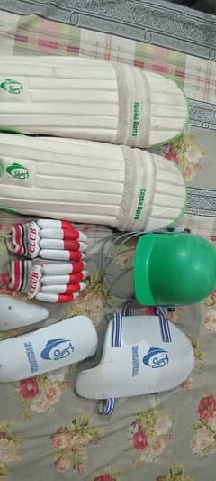 cricket hard ball kit