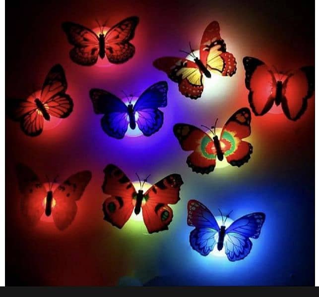 LED butterfly  room decorate 1