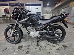 yamaha ybr 125cc