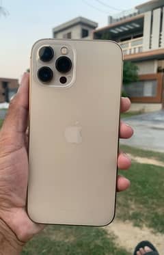 Iphone 12 Pro Max 256 GB