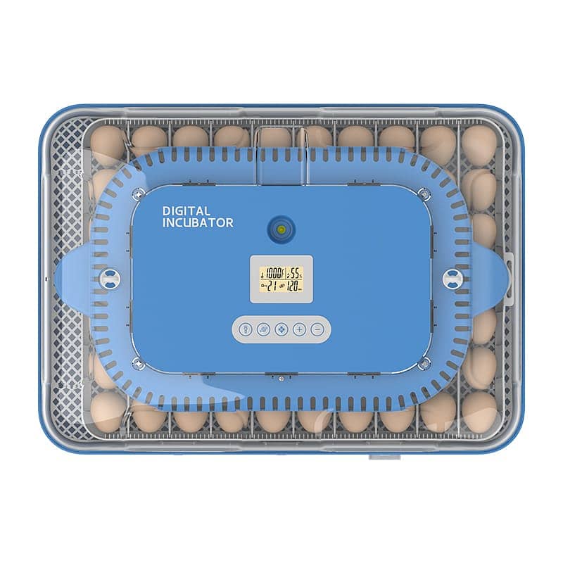 IMPORTED INCUBAGTOR 2024 MODEL 1