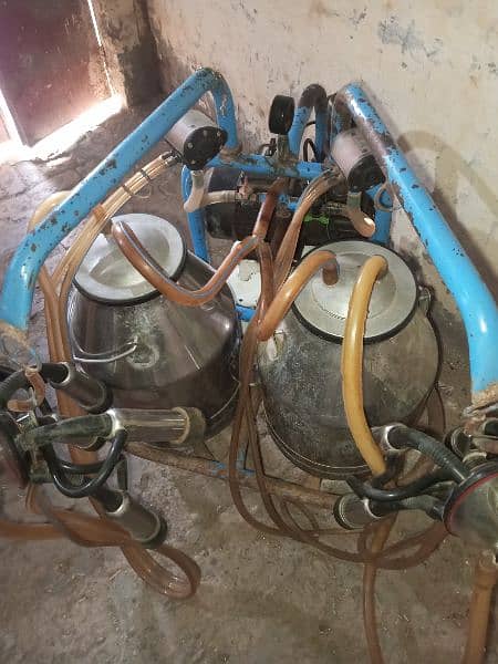 milking machine Turkish made 1