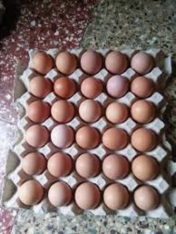 Desi Misri Eggs Home breed 0