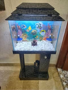 Fish Aquarium