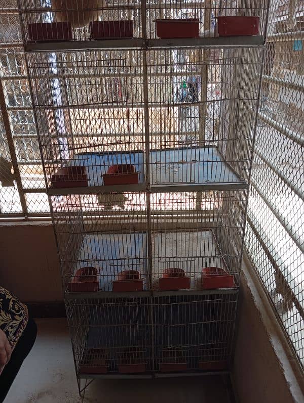 bird cage 1