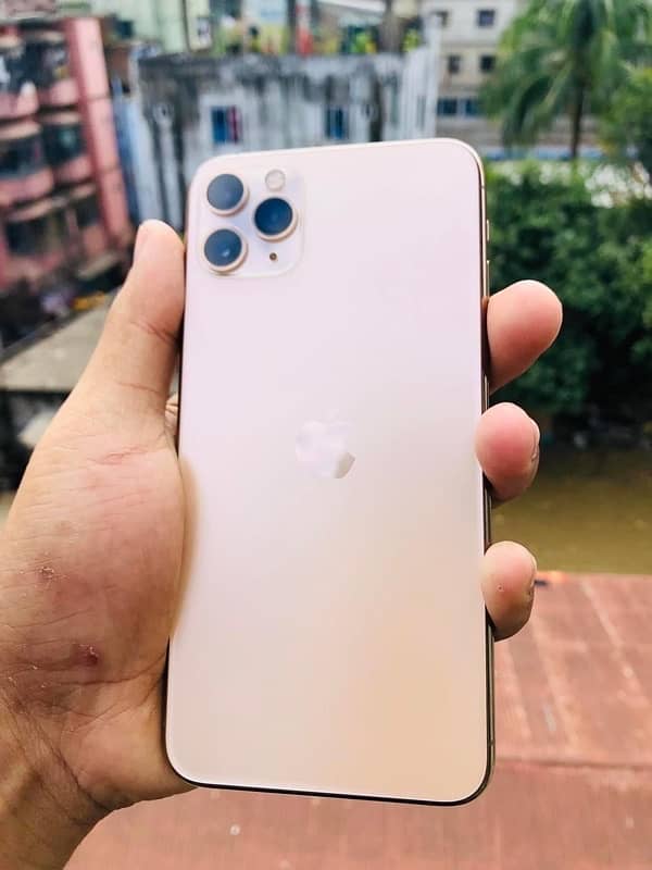 256 GB PTA Approved Iphone 11 Pro Max 2