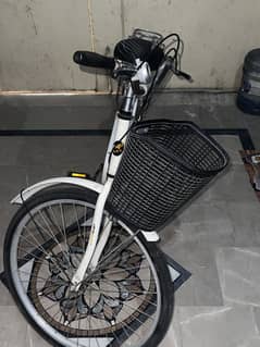 Best Girls Bicycle, Full new condition