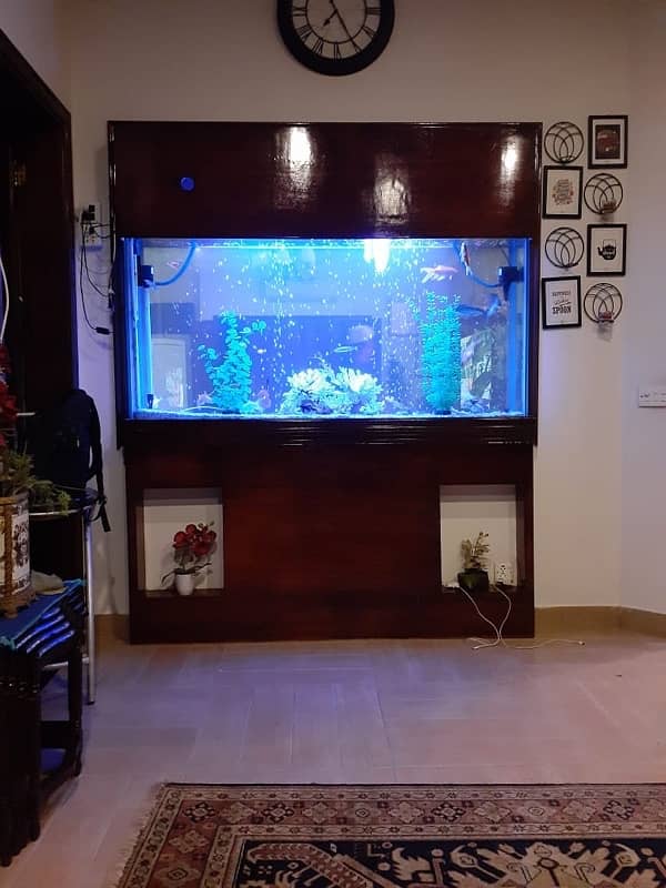 Aquarium Complete Service and cleaning by Aquatic Aquarium 1