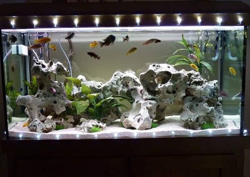 Aquarium Complete Service and cleaning by Aquatic Aquarium 2