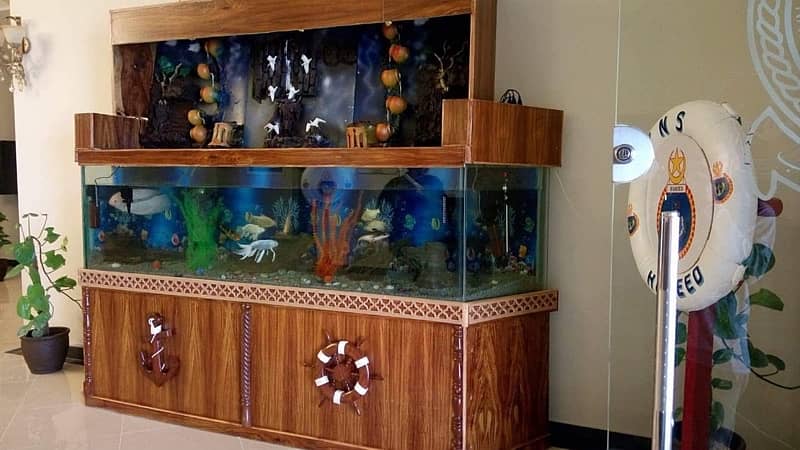 Aquarium Complete Service and cleaning by Aquatic Aquarium 3