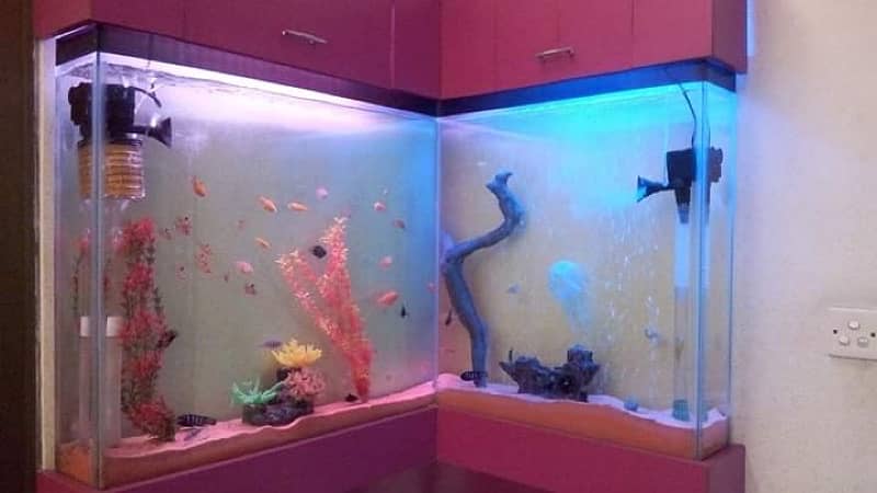 Aquarium Complete Service and cleaning by Aquatic Aquarium 5