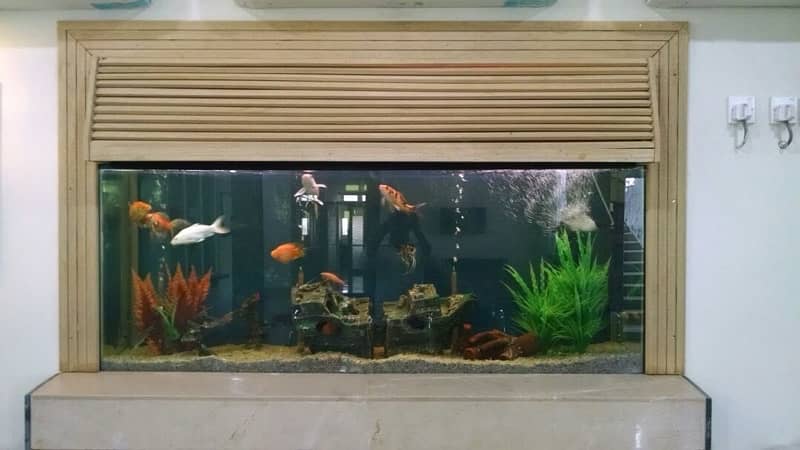 Aquarium Complete Service and cleaning by Aquatic Aquarium 8