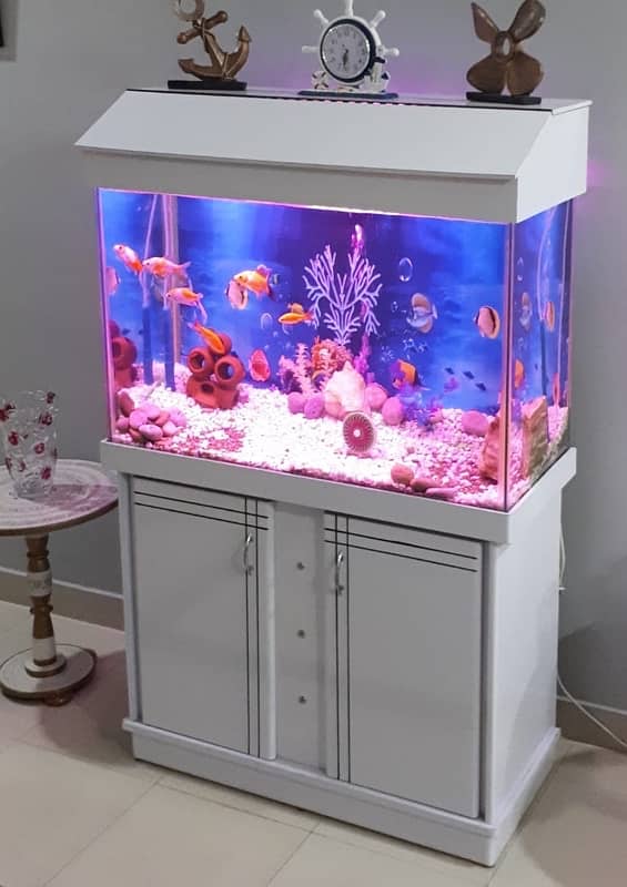 Aquarium Complete Service and cleaning by Aquatic Aquarium 9