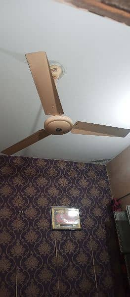 kausar Celling Fan For Sale 2