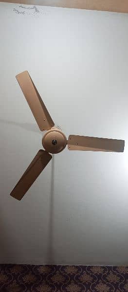 kausar Celling Fan For Sale 3