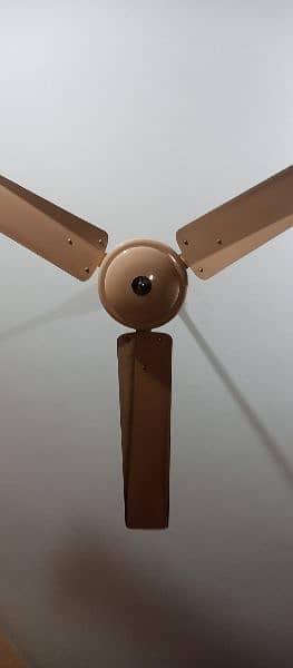 kausar Celling Fan For Sale 4