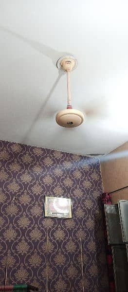 kausar Celling Fan For Sale 5