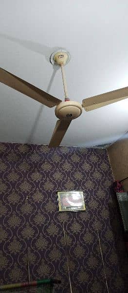 kausar Celling Fan For Sale 6