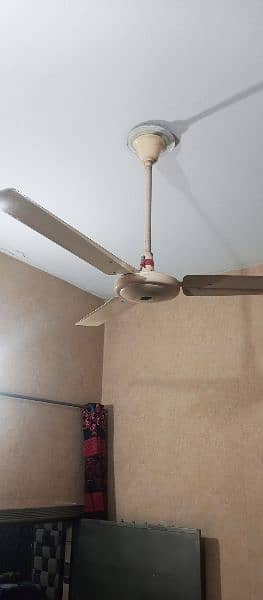 kausar Celling Fan For Sale 7