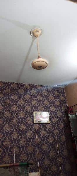 kausar Celling Fan For Sale 8