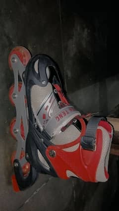 Skating shoes with bag