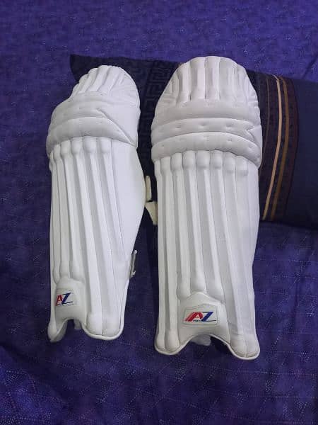 Batting Pads - cricket leg pad 0