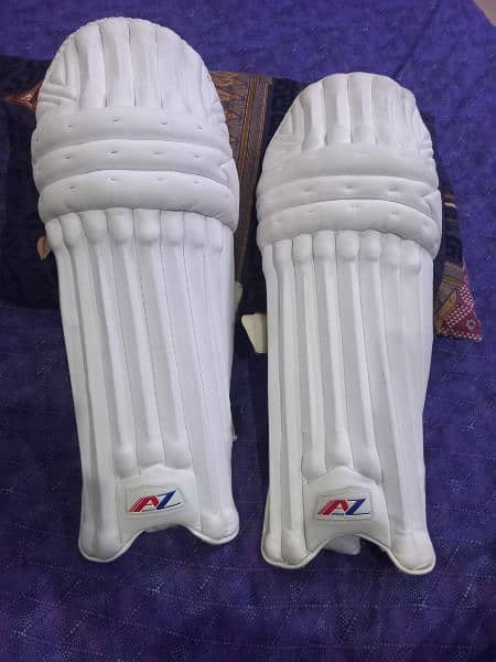 Batting Pads - cricket leg pad 1