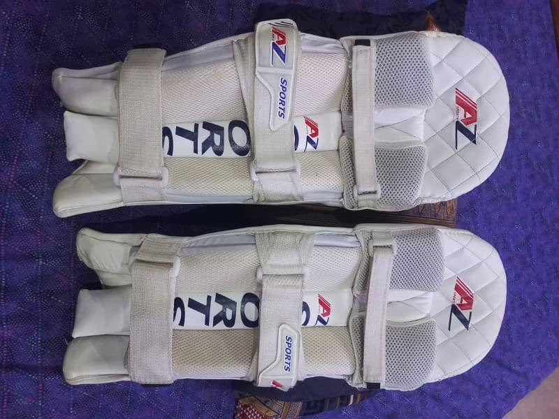 Batting Pads - cricket leg pad 2