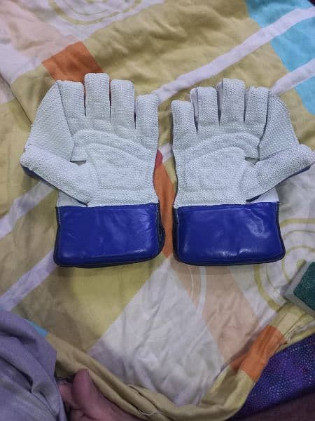 keeping gloves - wicket keeper gloves 1