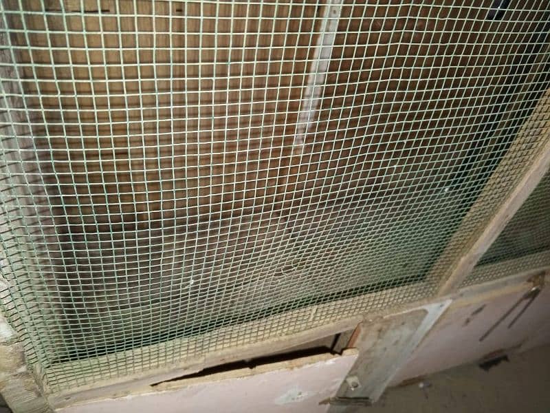 hen cage 2