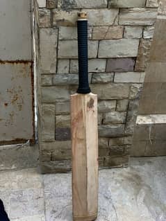 cricket bat