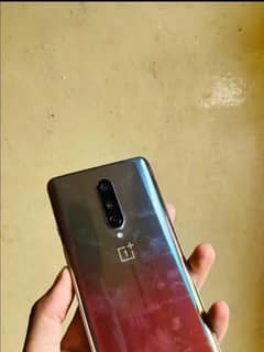 oneplus 8