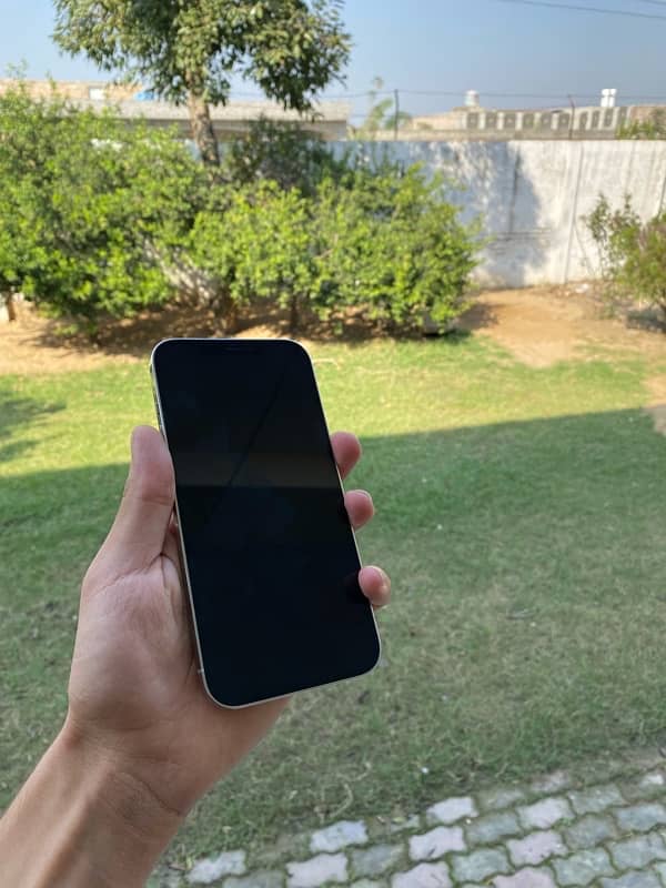 Iphone 12 Pro Max (512gb) 6