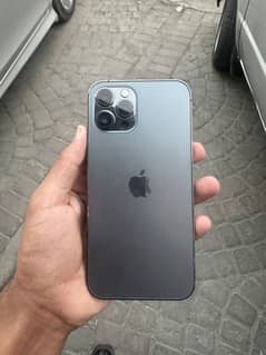 iPhone 12 Pro Max 256GB