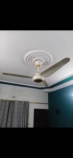 ceiling fan