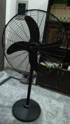 Sufi Fan