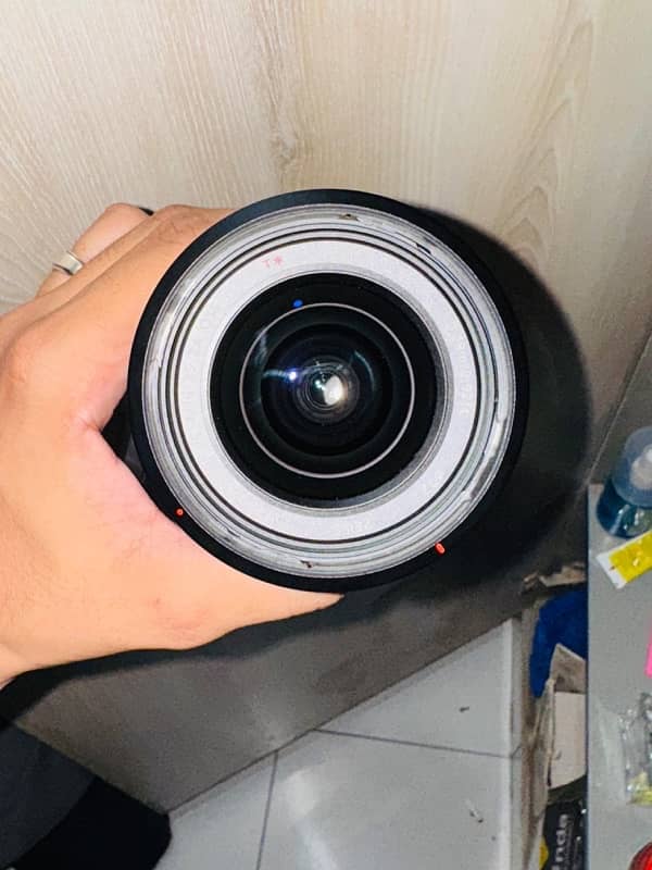 Sony Zeiss lens fE 4/16-35 1